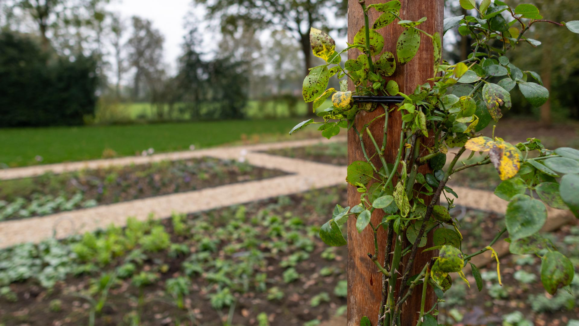 Sfeerbeeld 04 beers hoveniers