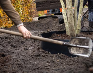 Tuinaanleg 01 beers hoveniers