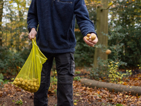 Tuinaanleg 02 beers hoveniers